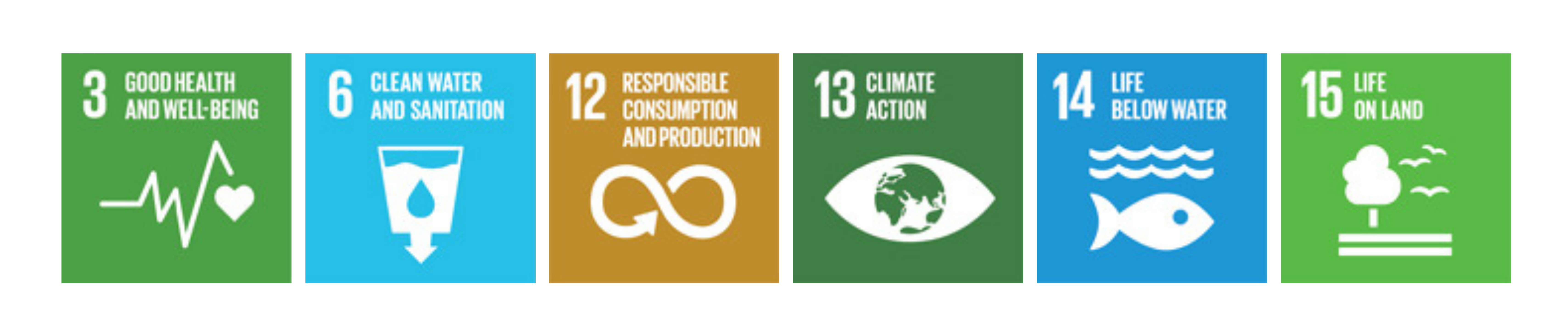 A picture about four Sustainable Development Goals to which our project is related.