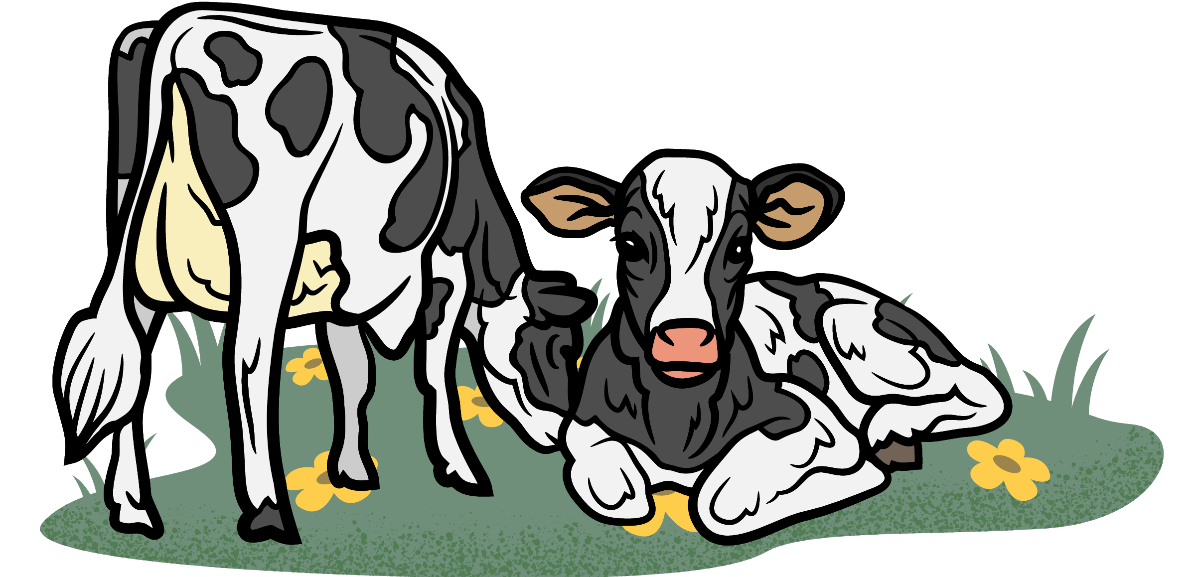 image_twoCows