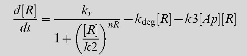 T--Manchester--Equation_3.PNG