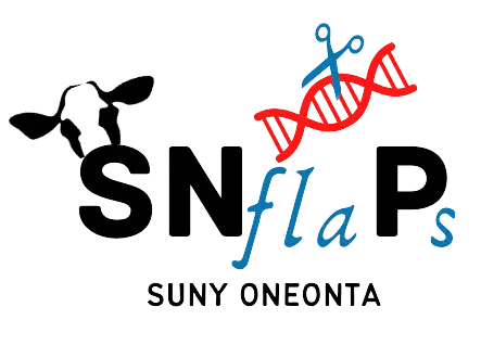 SUNY Oneonta iGEM Logo
