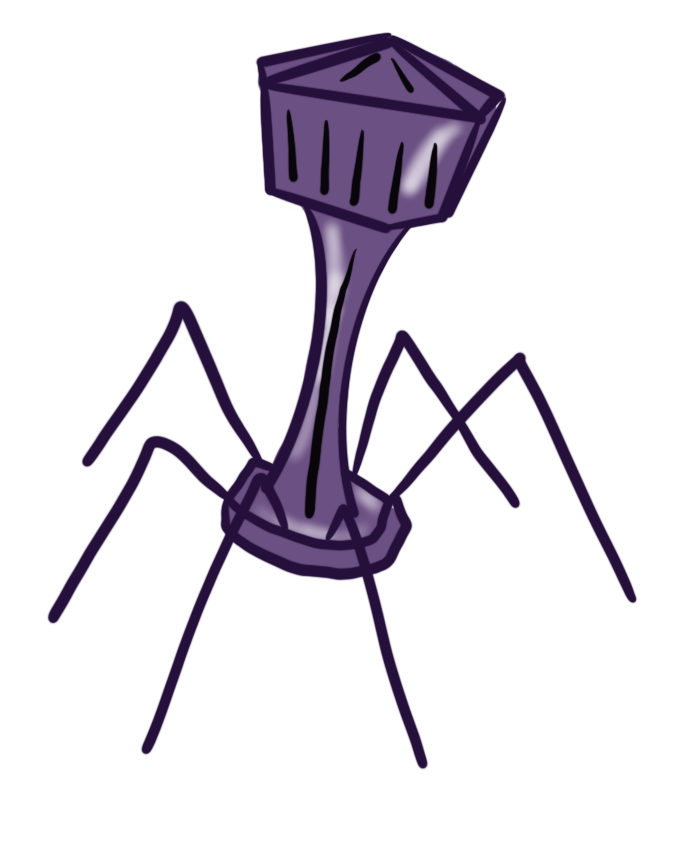 Purple Phage